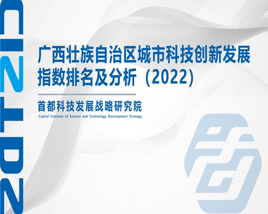 鸡吧插逼【成果发布】广西壮族自治区城市科技创新发展指数排名及分析（2022）